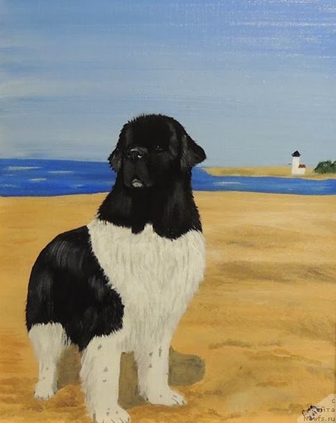 Фотография № 234851