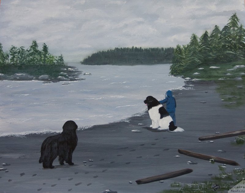 Фотография № 234852