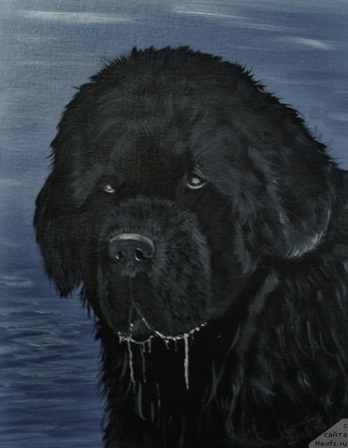 Фотография № 234853