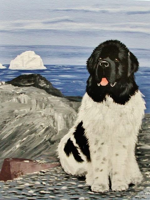 Фотография № 234854