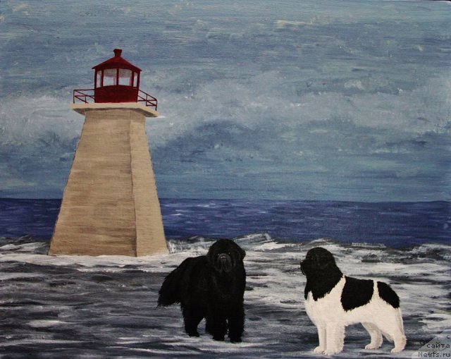 Фотография № 234855