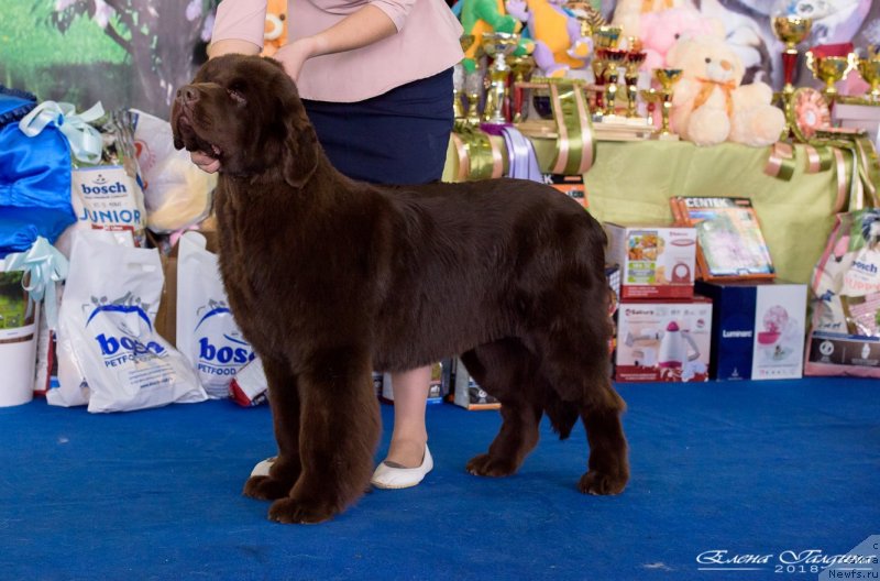 Фотография № 234859