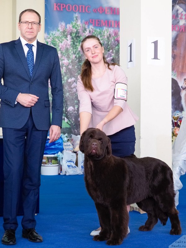 Фотография № 234862