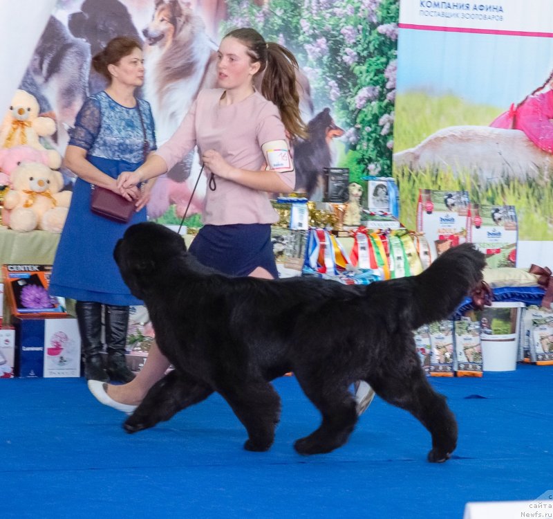 Фотография № 234865