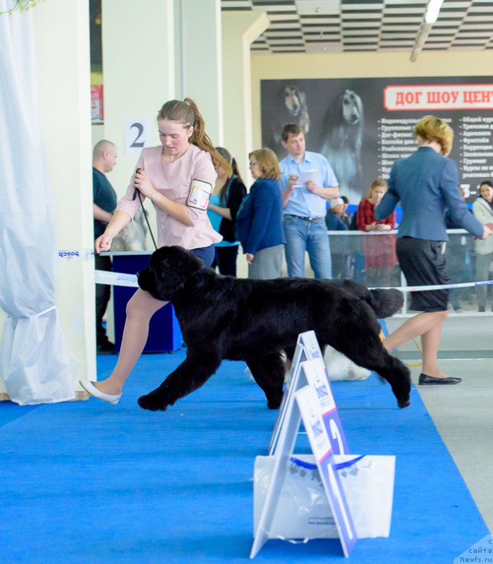 Фотография № 234867