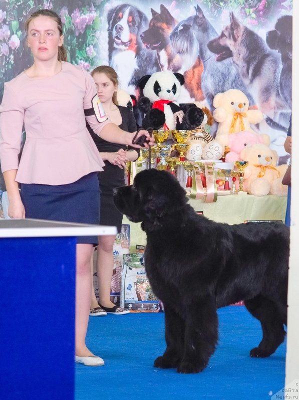 Фотография № 234870