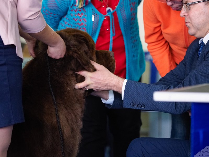 Фотография № 234875