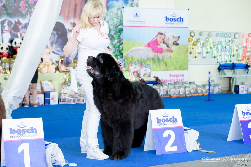 Фотография № 234879