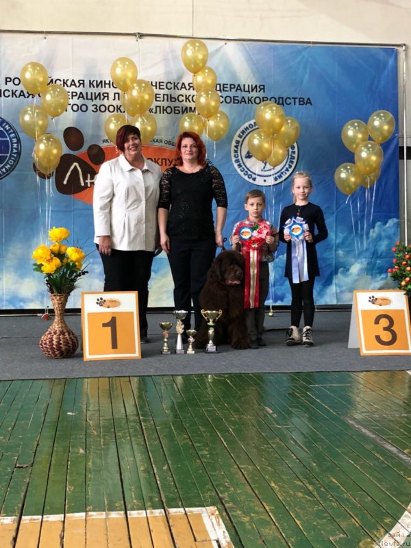 Фотография № 234902