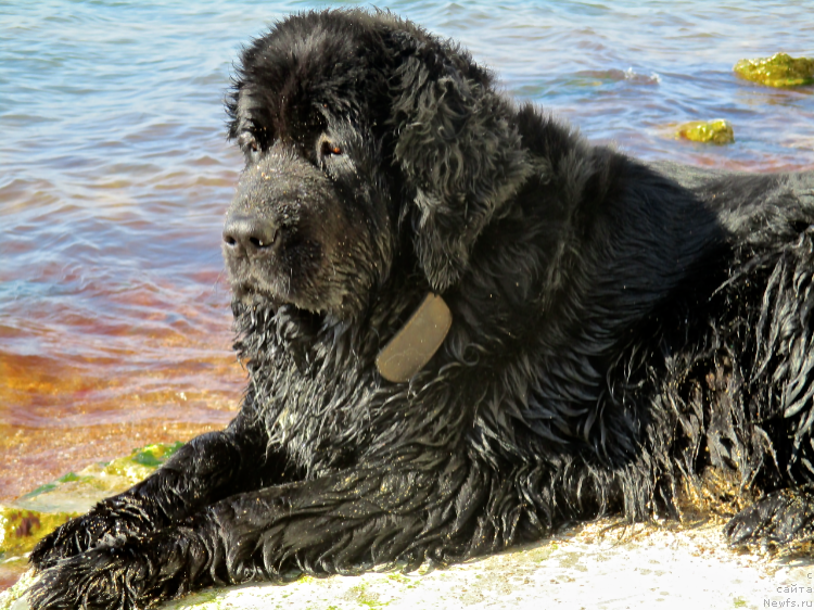 Фотография № 234906