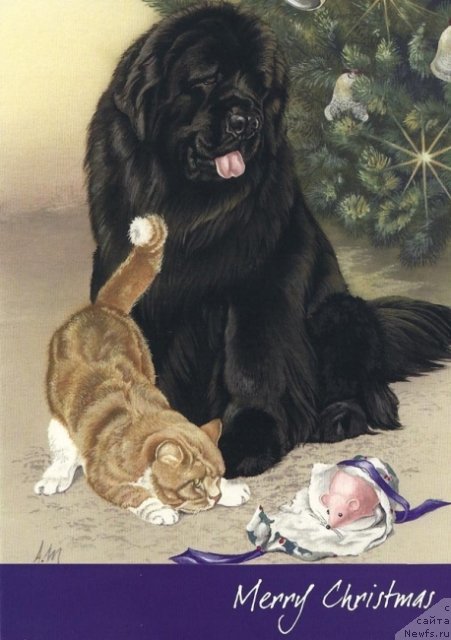 Фотография № 234908