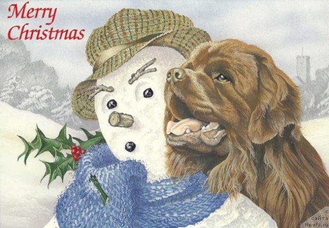 Фотография № 234910