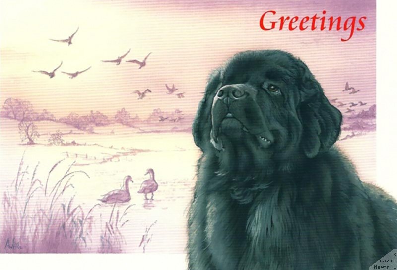 Фотография № 234913