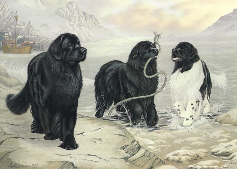 Фотография № 234914