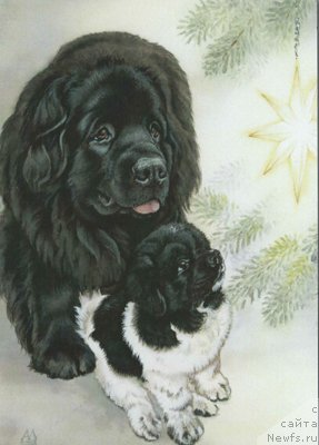 Фотография № 234916