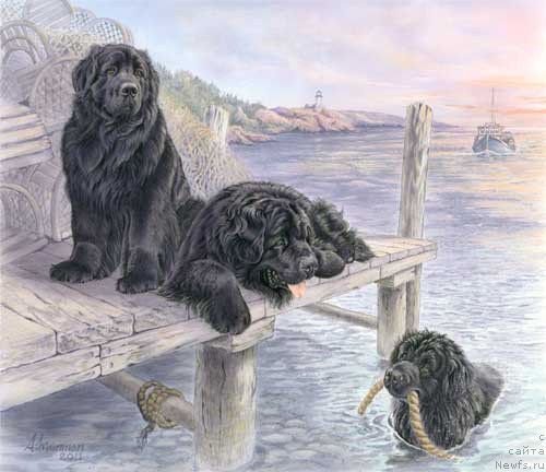 Фотография № 234918