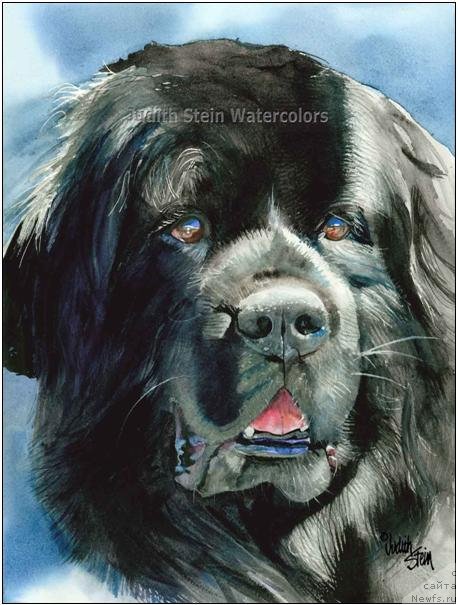 Фотография № 234925