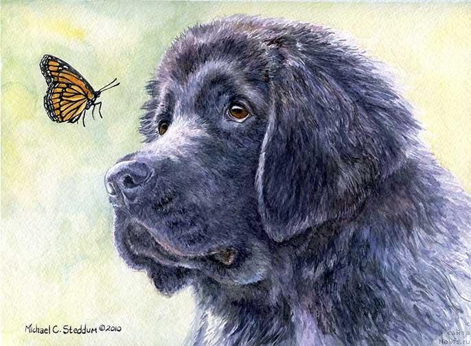 Фотография № 234926