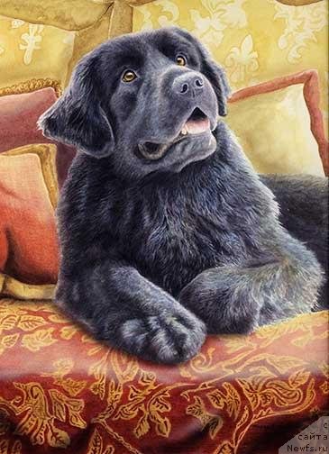 Фотография № 234929