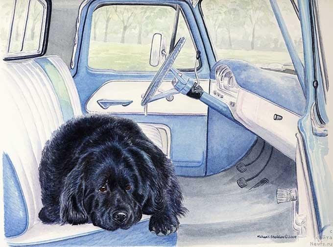 Фотография № 234932