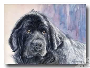 Фотография № 234934