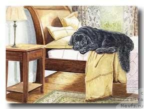 Фотография № 234936