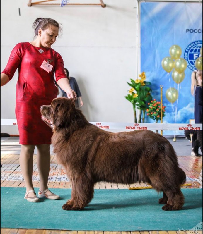 Фотография № 234940