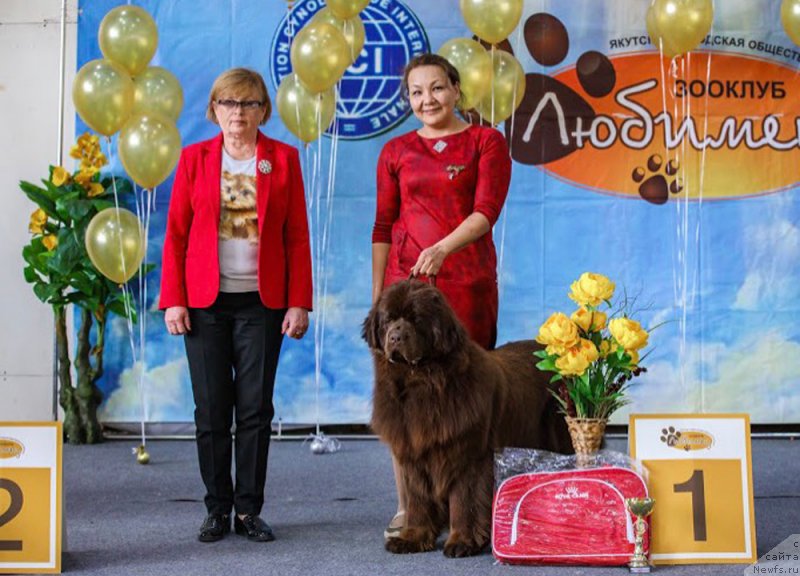 Фотография № 234941