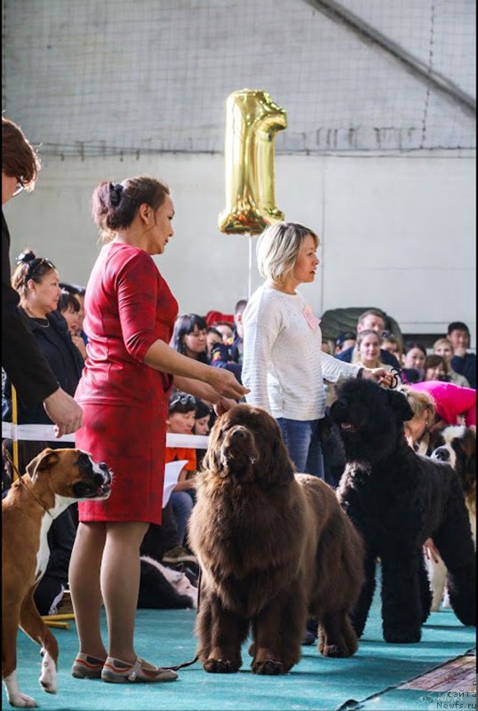 Фотография № 234942