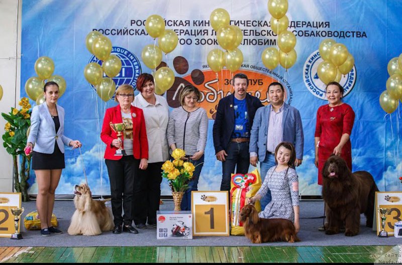 Фотография № 234943