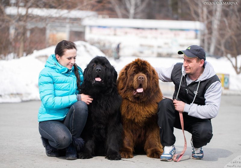 Фотография № 234947