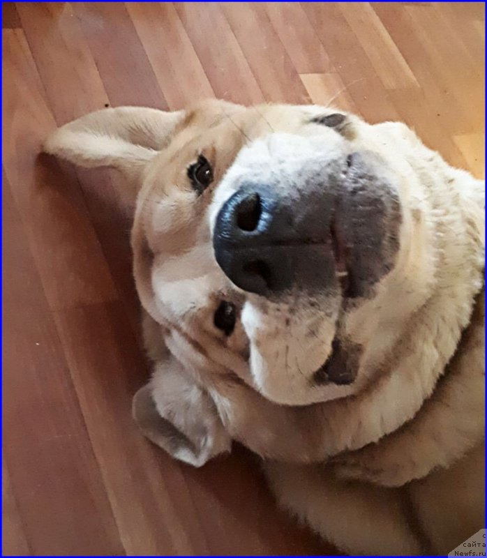 Фото: Lena Zyirina (Лена Зырина)