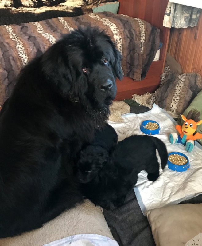 Фотография № 234953