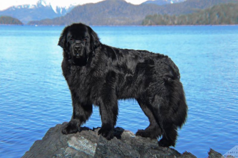 Фотография № 235002