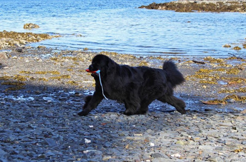 Фотография № 235004