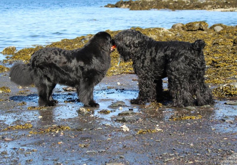 Фотография № 235005