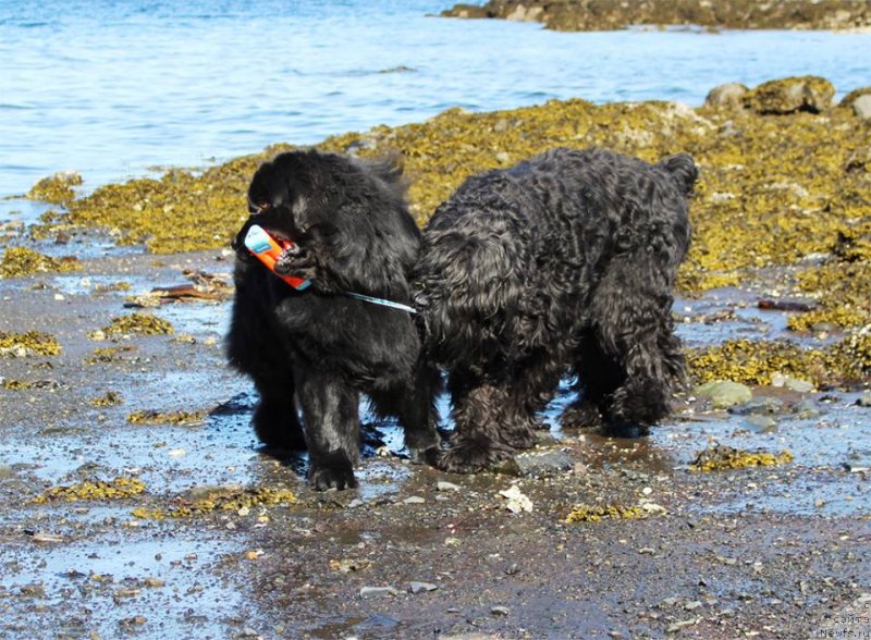 Фотография № 235006