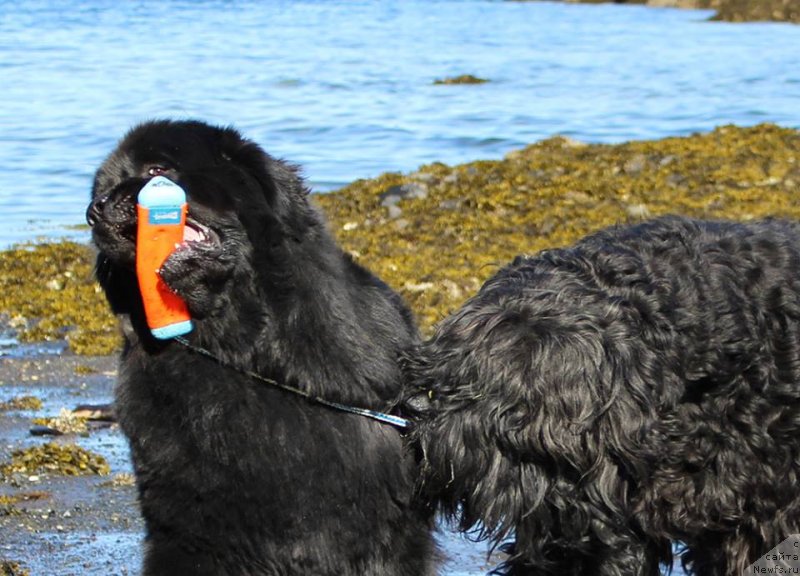 Фотография № 235007