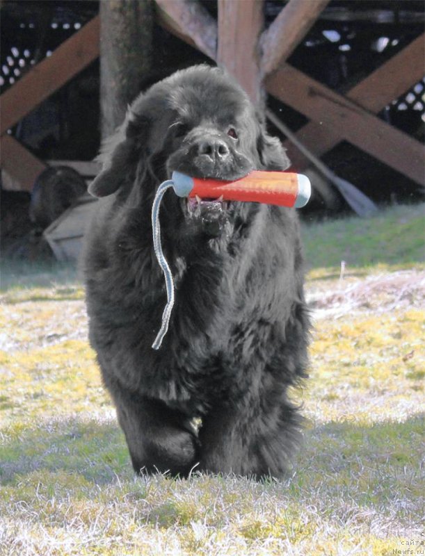 Фотография № 235008