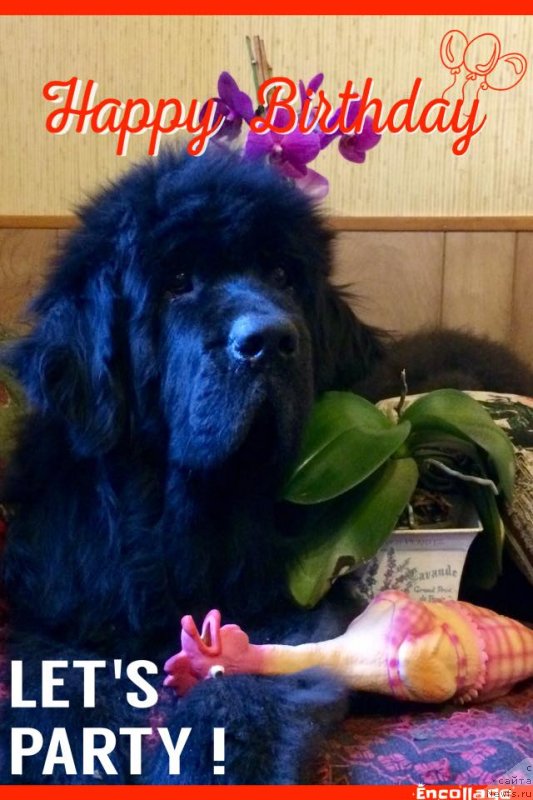 Фотография № 235011