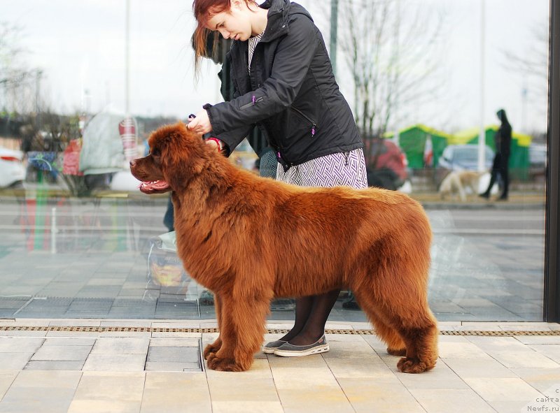 Фотография № 235013