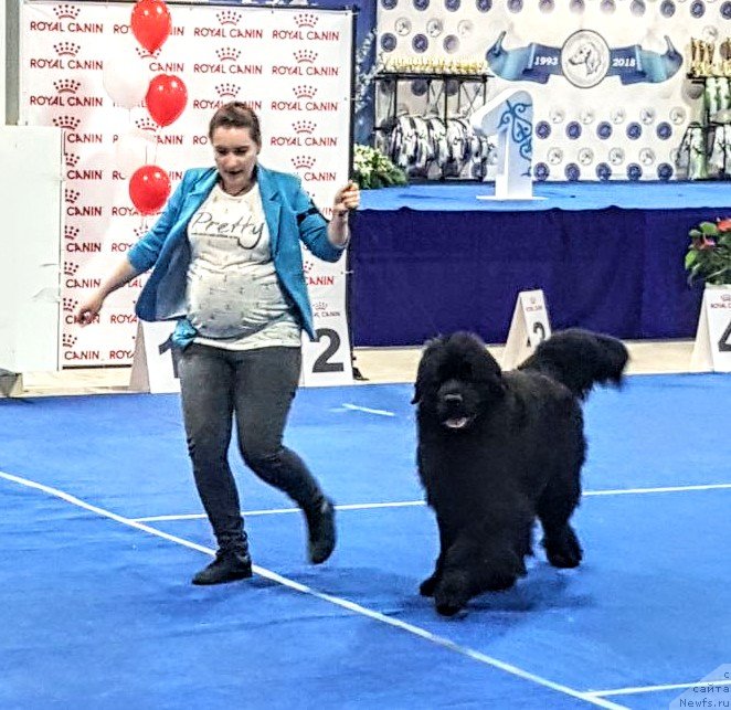 Фотография № 235051