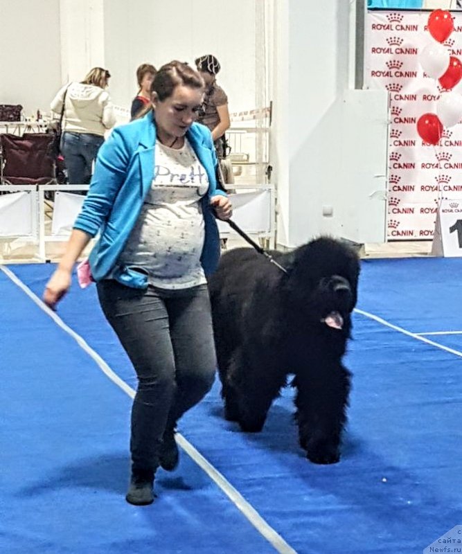 Фотография № 235052