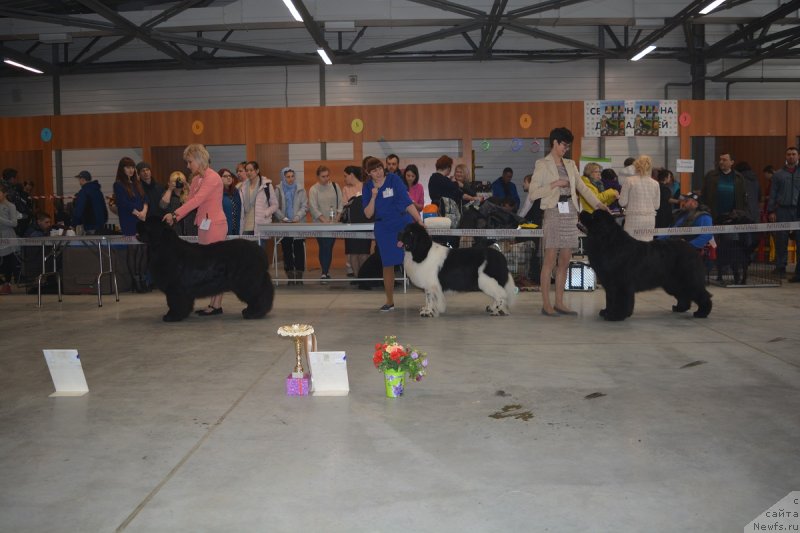 Фотография № 235066