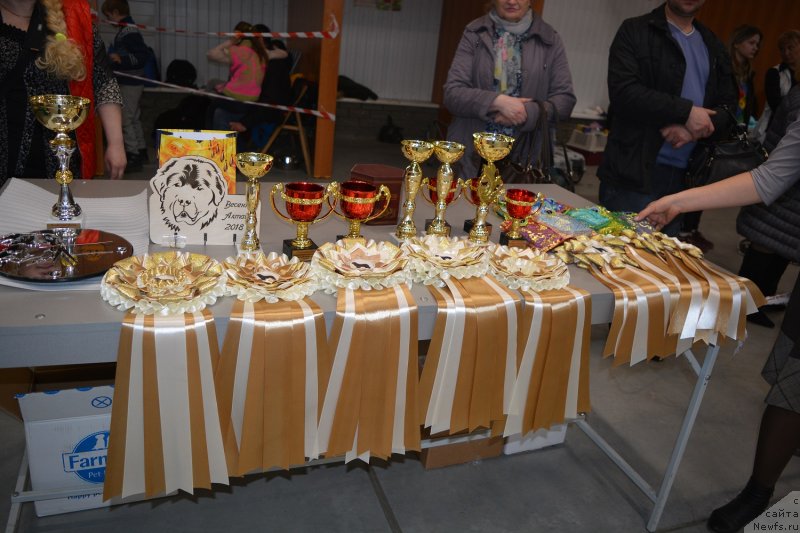 Фотография № 235068