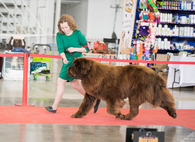 Фотография № 235082