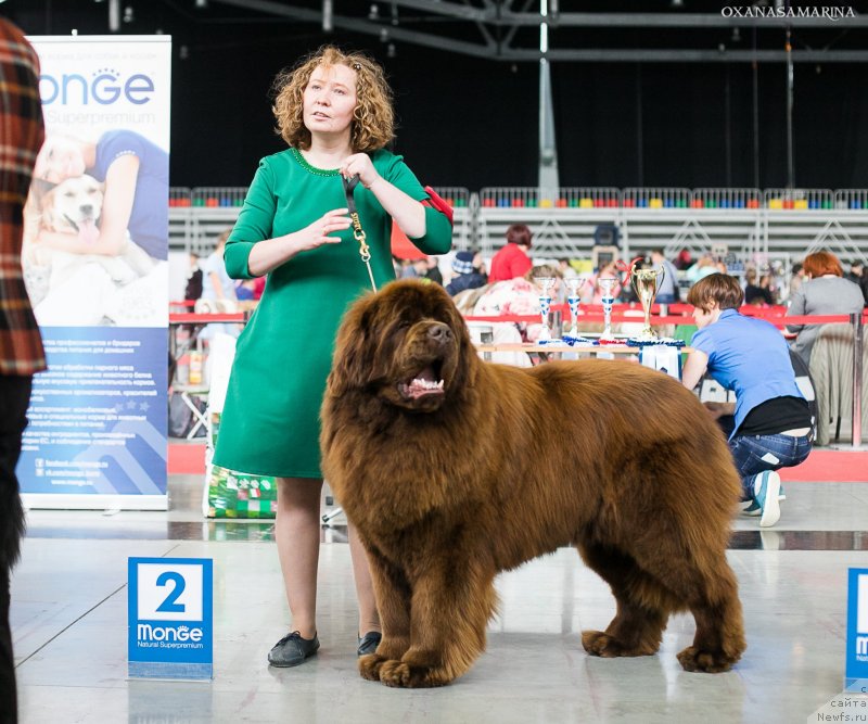 Фотография № 235088