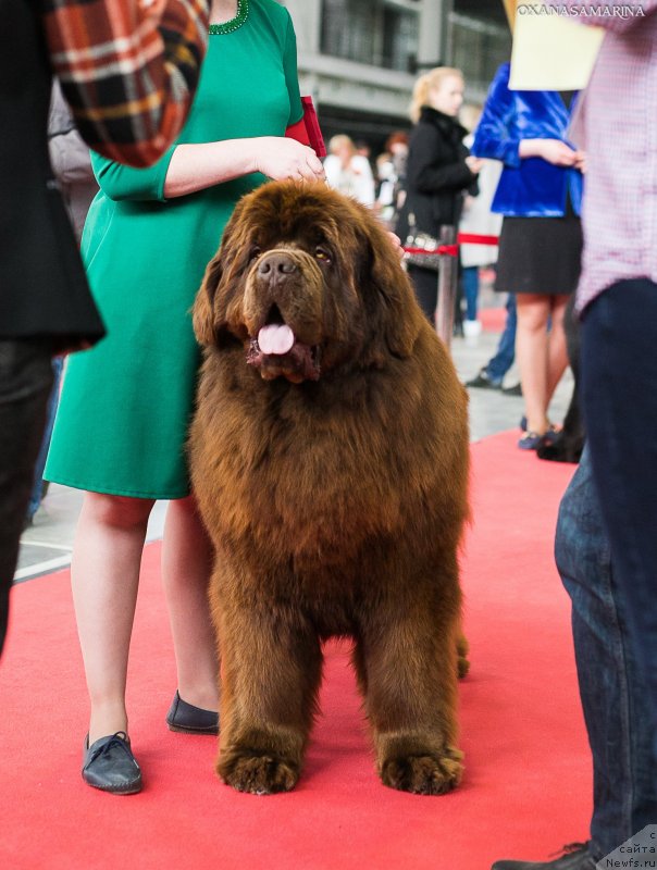 Фотография № 235089