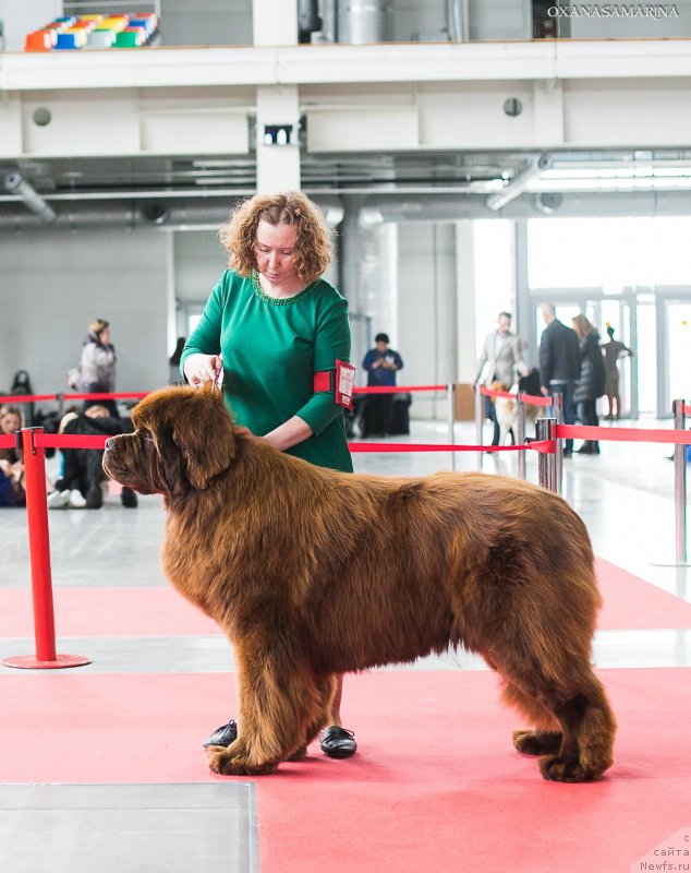 Фотография № 235092