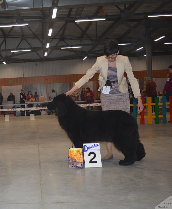 Фотография № 235103